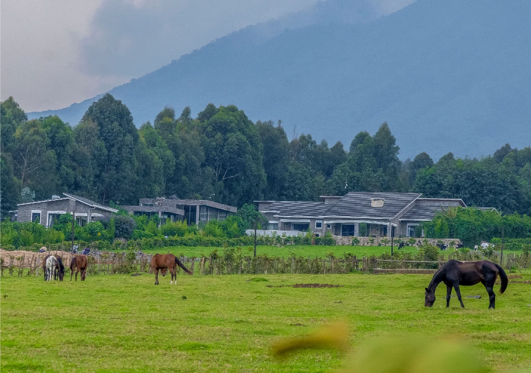 Farmhouse Rwanda