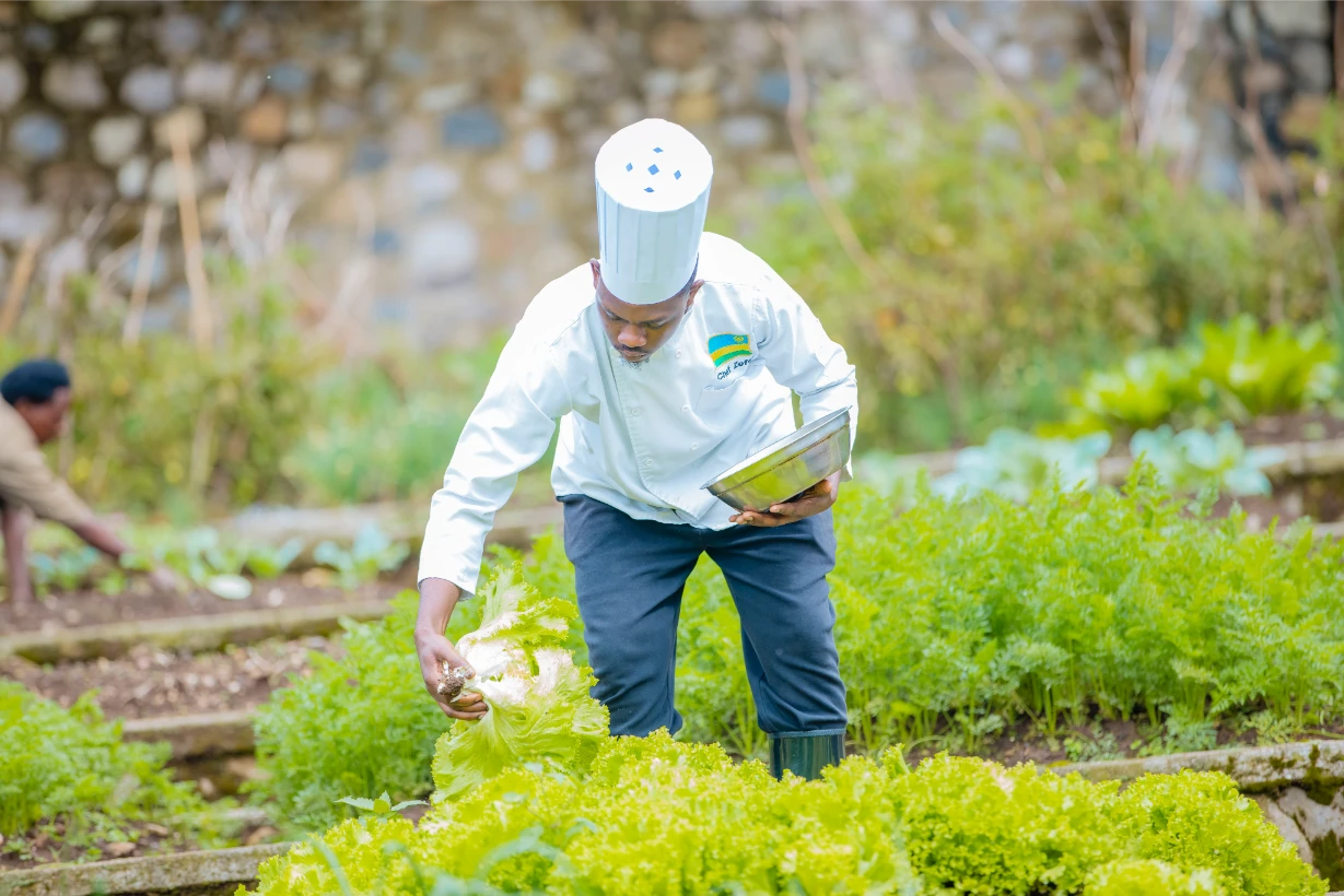 Farmhouse Rwanda - Harvest and Cook Workshop (1)