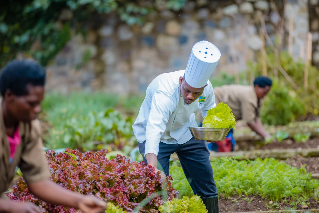Farmhouse Rwanda - Harvest and Cook Workshop (12)