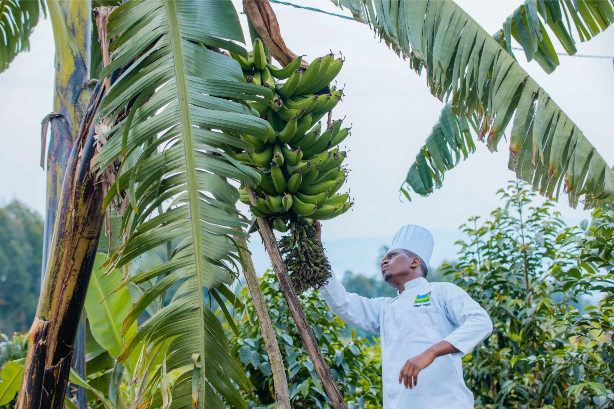 Farmhouse Rwanda - Harvest and Cook Workshop (9)