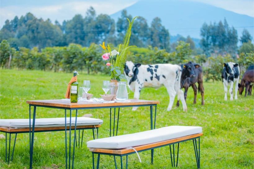 _L8A3663-Enhanced-NR